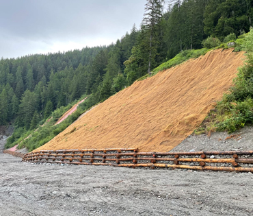 esperti di ingegneria naturalistica