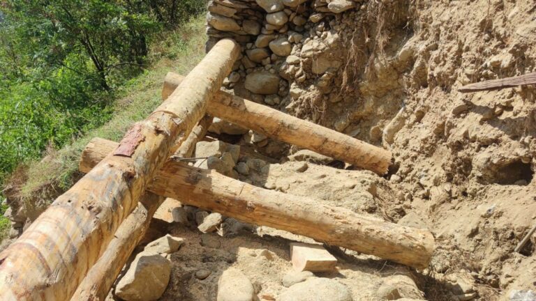 realizzazione di palizzate in legno a sostegno del pendio di montagna a rischio frana